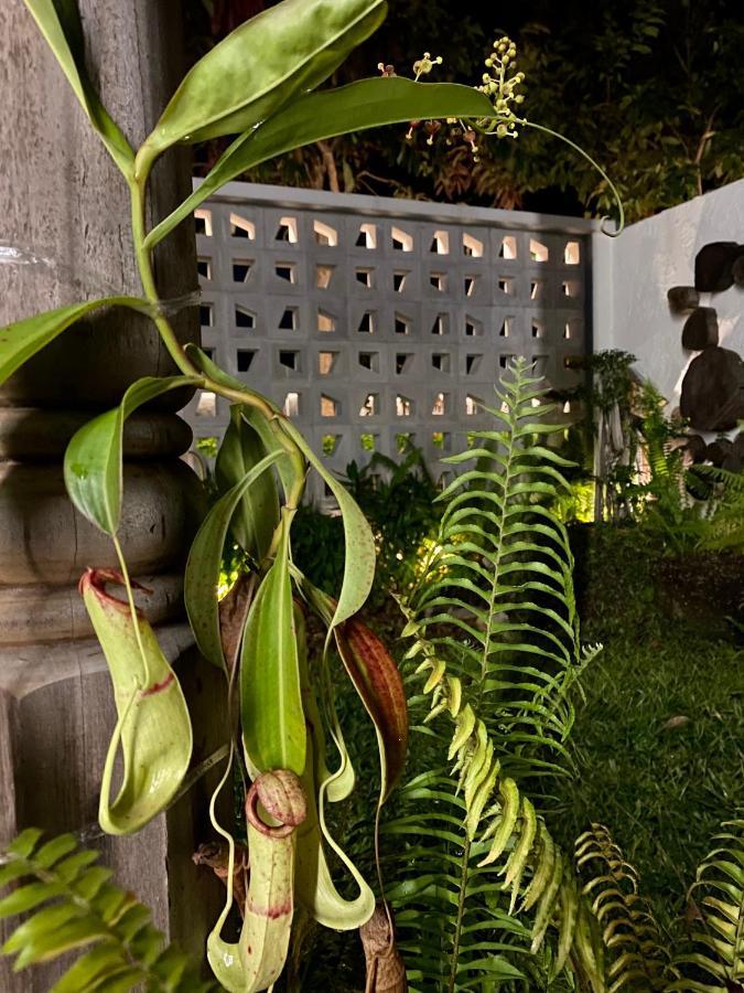 Ikiru 18 Private Saltwater Pool Villa, 3 Ensuite Br, Outdoor Bbq, 5 Mins To Beach Pantai Cenang  Exteriér fotografie